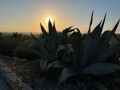 View from Pool, Pianogrillo Farm Organic Winery, Chiaramonte Gulfi, Sicily